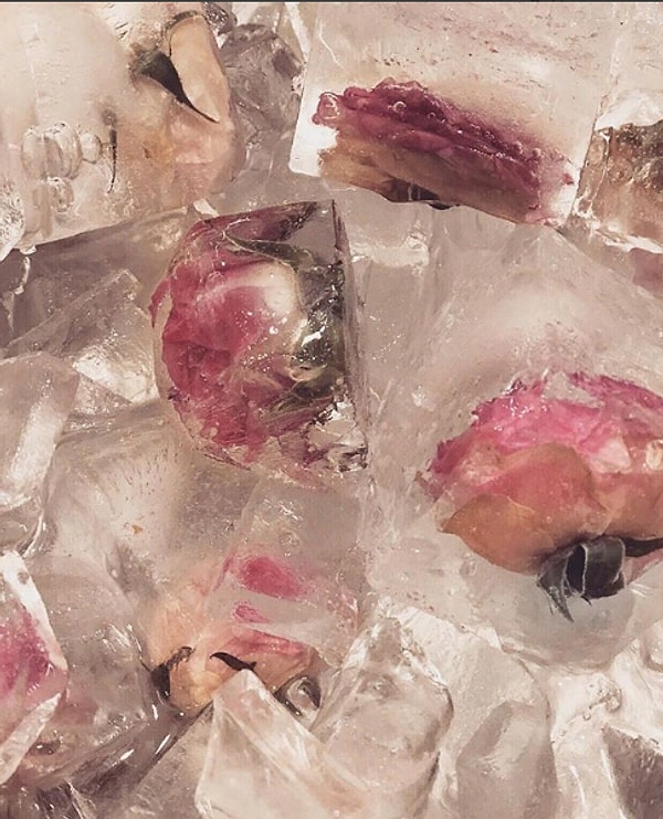 3. Как вы уже догадались, это не обычный лед - внутри него были заморожены розочки!