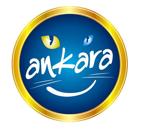Ankara Büyükşehir Belediyesi logosu da değiştiriliyor.
