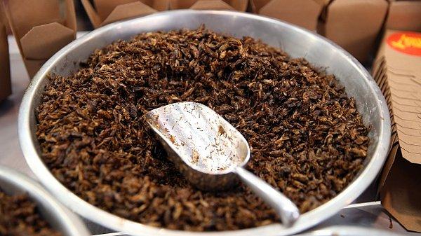 Fırının yöneticilerine göre böcekler yağ asidi, kalsiyum, demir ve B12 vitamini yönünden zengin birer 'gıda'.