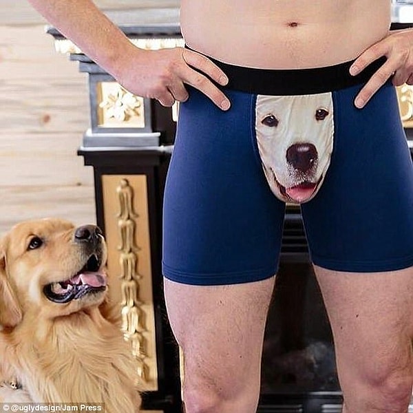 9. Собаке наверное понравится такой жест.