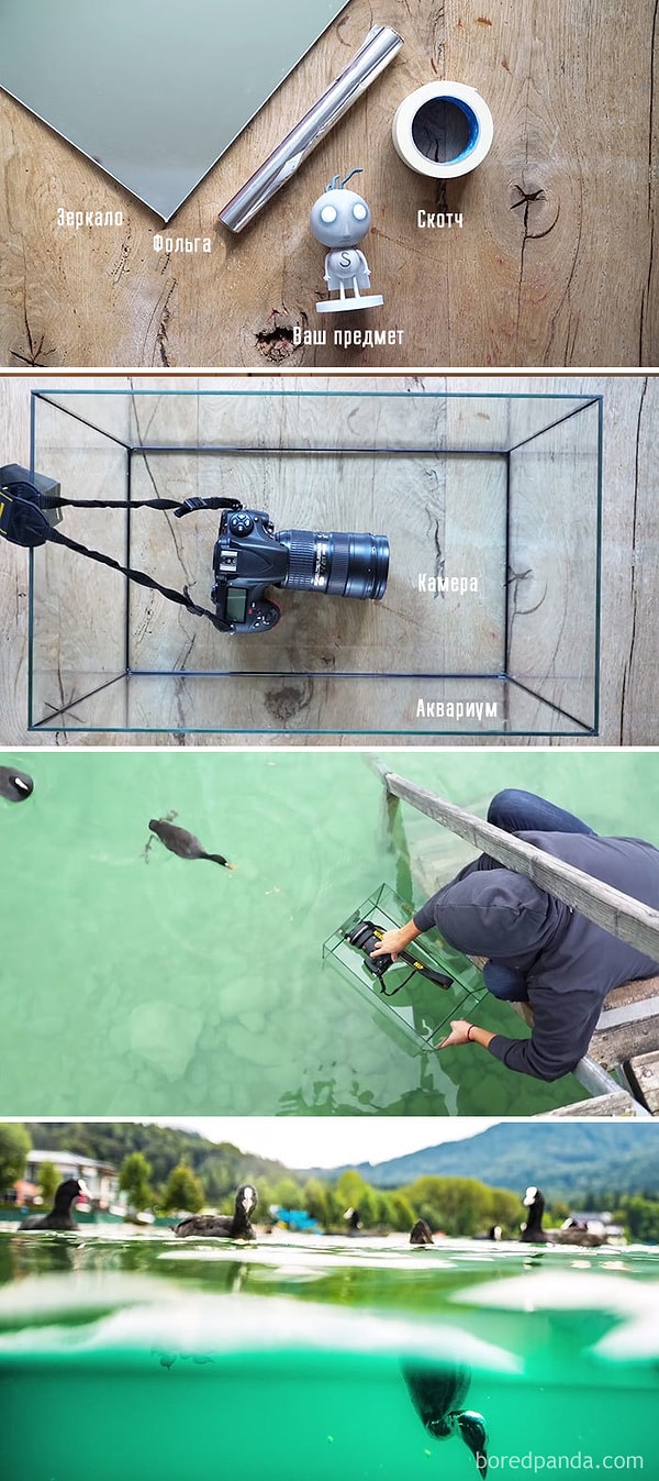 2. Используйте небольшой аквариум, чтобы сделать снимки из-под воды