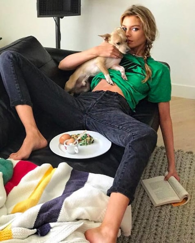 17. Stella Maxwell'in ev halleri: