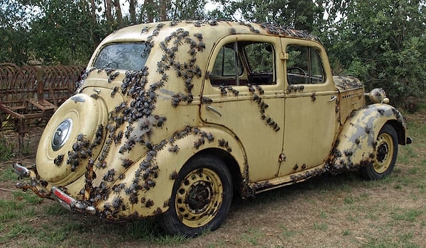 11. И вот тут понимаешь, что ходить пешком гораздо полезнее