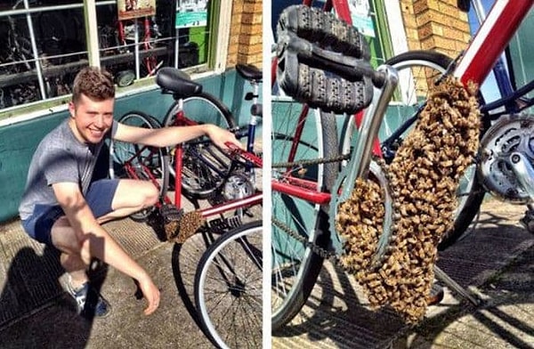 14. Ну велосипед полезен для окружающей среды в любом случае...