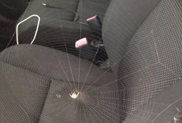 10. "Сегодня шеф написал мне, почему я не появляюсь на работе уже два дня. В ответ я послал ему эту фотку"