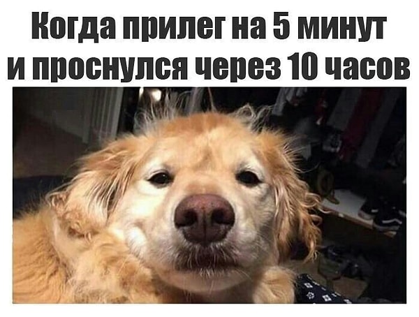 11. Вздремнул называается