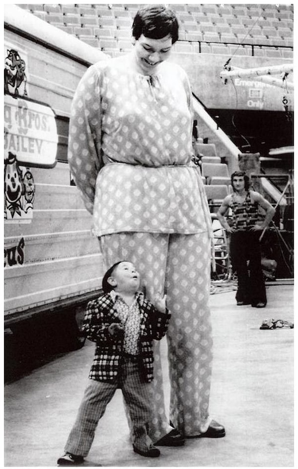 3. Санди Аллен — 231 см