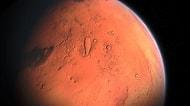 Sürekli Heyecanlanıyoruz: Bilim İnsanları Mars Toprağında Bitkinin Ardından Solucan da Yetiştirdi!