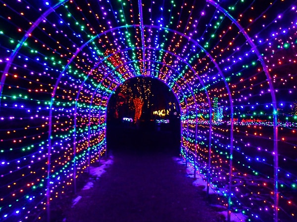 5. Аллея света в Денверском ботаническом саду в Денвере, Колорадо