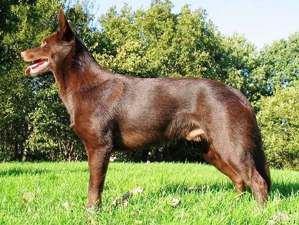 Посмотреть ответ: