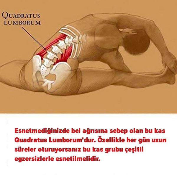 4. Uzun süre oturarak çalışıyorsanız çeşitli egzersizlerle bu kas grubunu esnetmeniz olası bel ağrılarının önüne geçecektir.