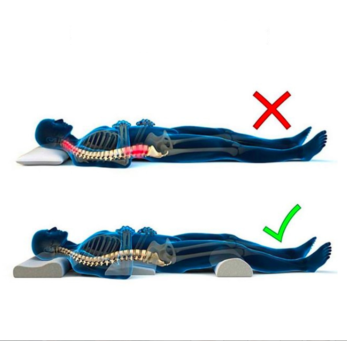 Картинка как правильно спать. Как правильно спать. Позвоночник лежа на спине. Как правильно лежать. Положение позвоночника лежа на спине.