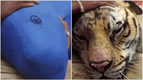 14. Жизнь Пи (2012)