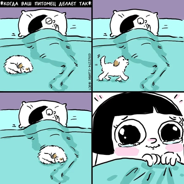 1. Когда они приходят на свое любимое место