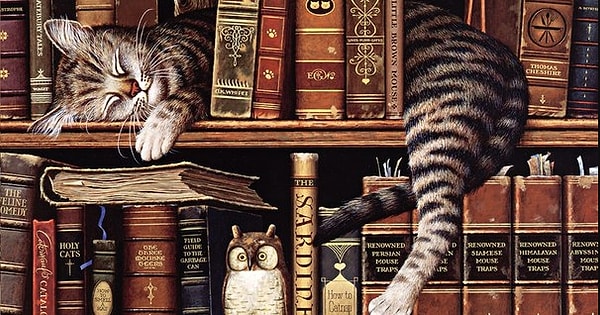 8. Что означает “абдомен”?