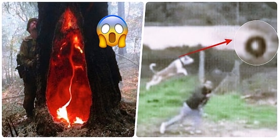 Yok Artık! Görünce Sizi Şaşkınlık Krizlerine Sokacak 19 İnanılmaz Görüntü