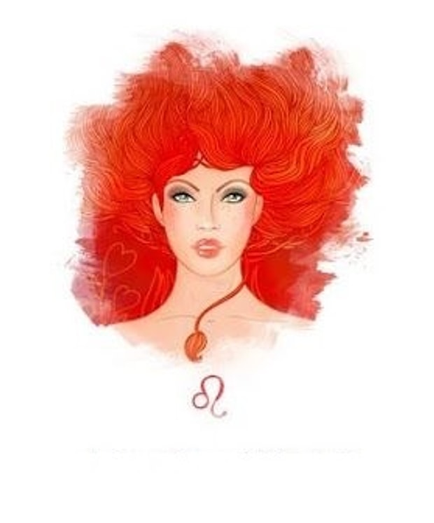 Aslan Burcu