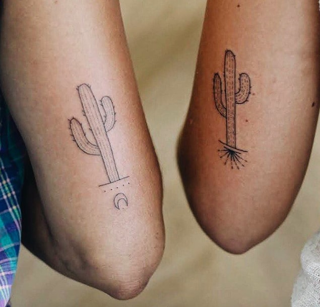 17. 🌵