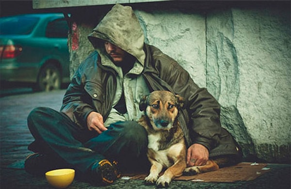 3. Вам больше всего жаль бездомных...