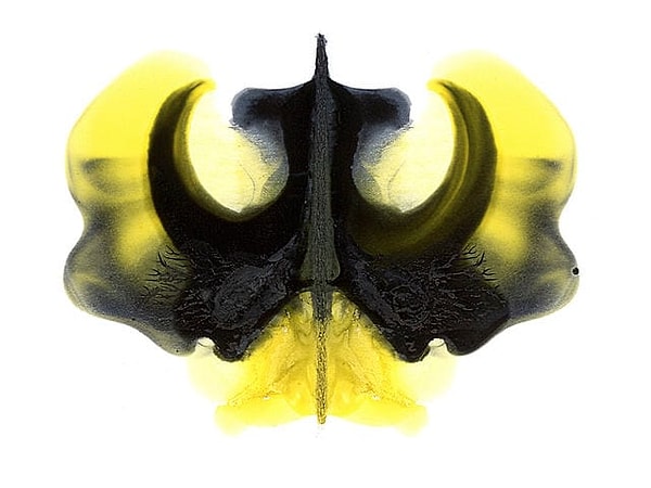 8. Что скажете?