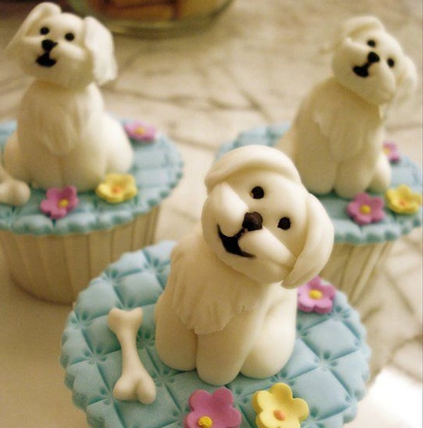 9. На день рождения любимого пёсика.