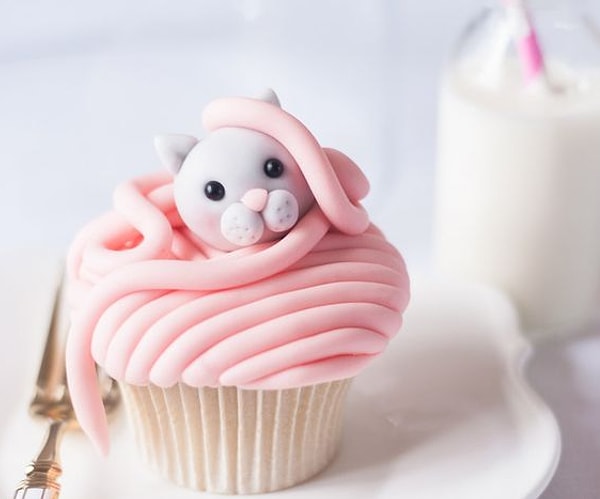 10. Или котика :)