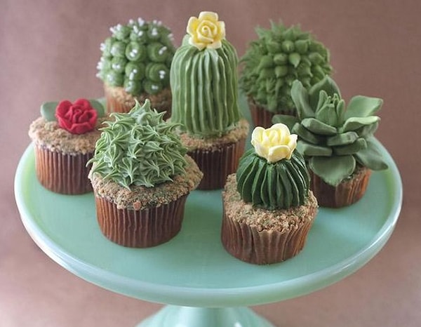 11. Кактусы или капкейки? И хочется, и колется 😂