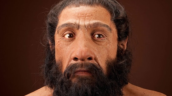 Belki de Tüm İnsanlık Tarihini Bu Küçük Biyolojik Detay Kökünden Değiştirecek!