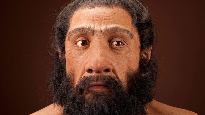 Belki de Tüm İnsanlık Tarihini Bu Küçük Biyolojik Detay Kökünden Değiştirecek!