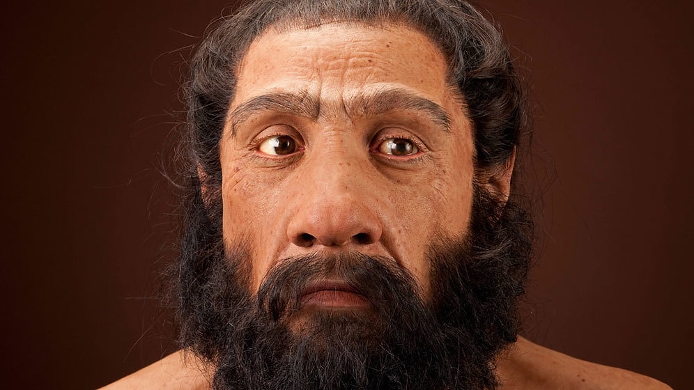 Belki de Tüm İnsanlık Tarihini Bu Küçük Biyolojik Detay Kökünden Değiştirecek!