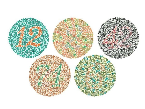 3. Какие числа нарисованы в кружках?