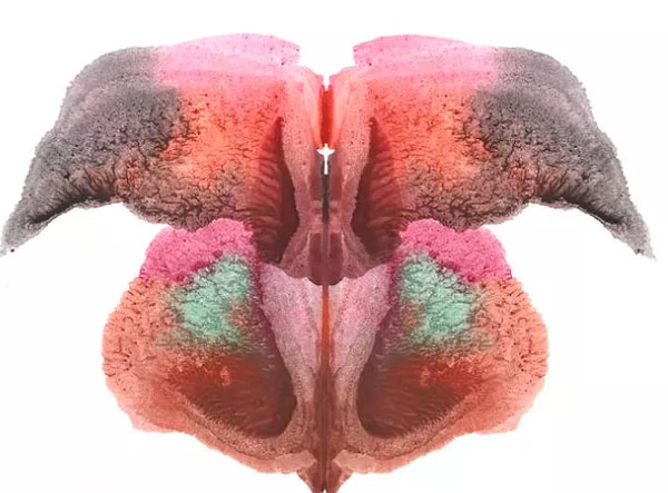 6. Какой  цвет привлек ваше внимание больше остальных?