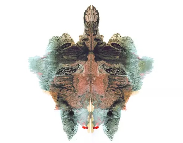 11. Какой цвет привлек ваше внимание больше всего?