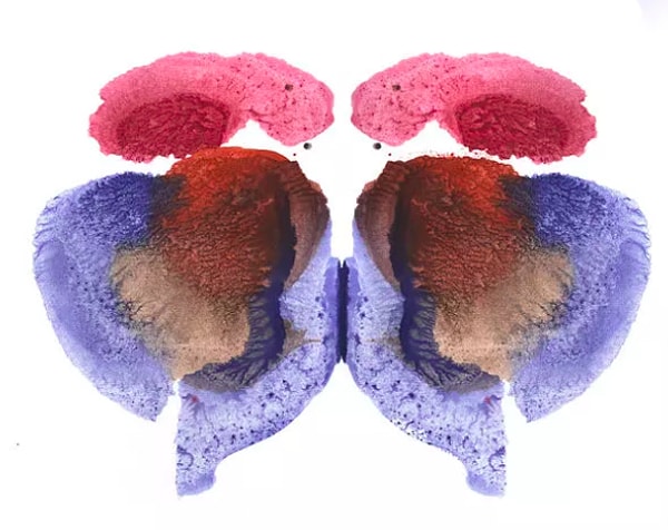 12. И напоследок: выберите цвет, который привлек ваше внимание первым.
