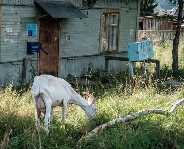 10. Полное единение с природой ❤️