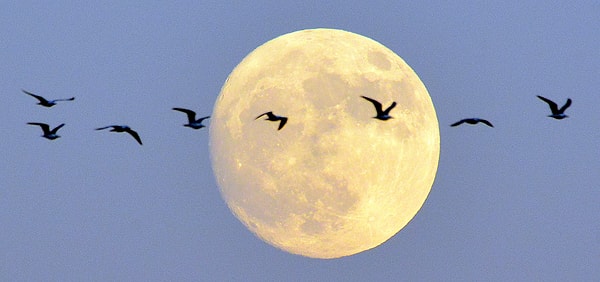 Анталья, Турция