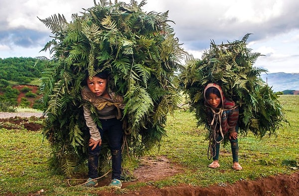 2. "Тяжёлая ноша", Chunshui Yu. Поощрительная премия в категории "Портреты и характеры". Китай.