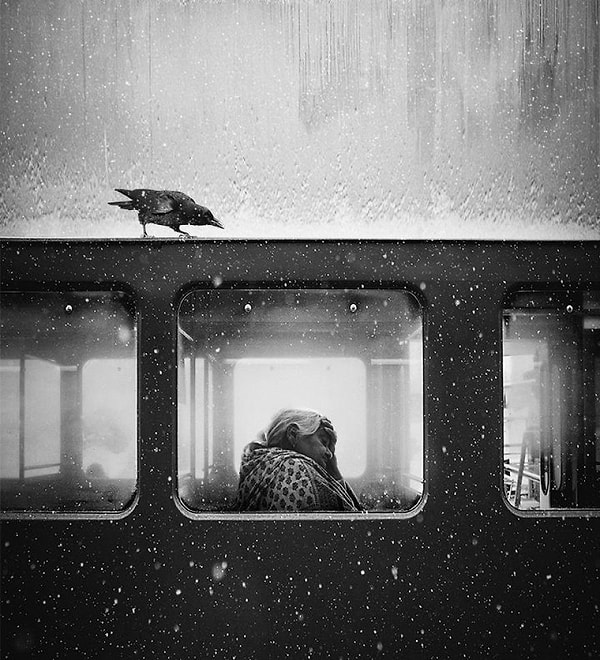 9. "Ворона во Львове", Jack Savage. 1-е место в категории "Монохром". Львов