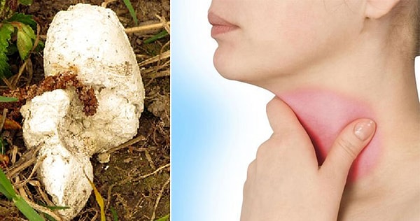 3. Собачий кал для больного горла