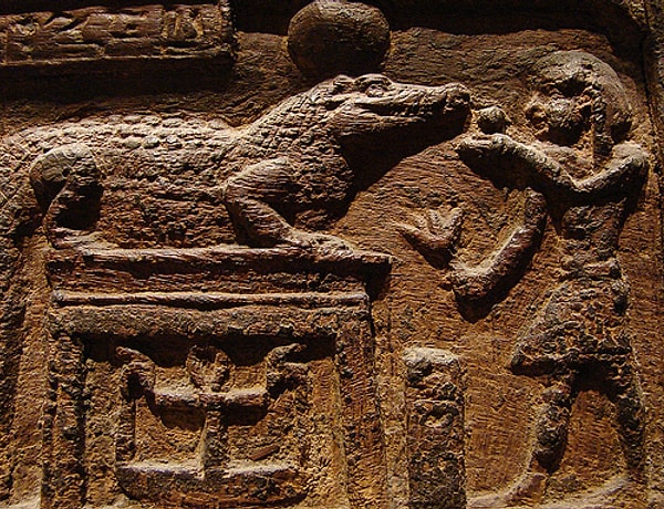 7. Фекалии крокодилов в качестве контрацептива