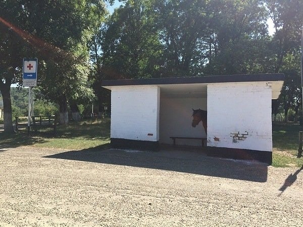 10. Кто это тут у нас?