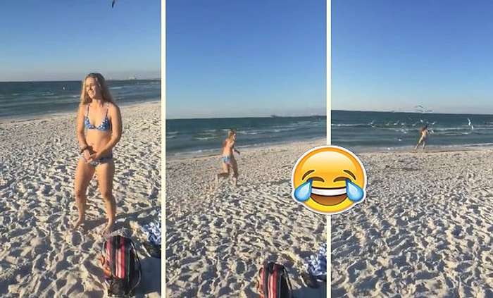 Martılara Yem Vermek İsterken Yem Olan Kadın