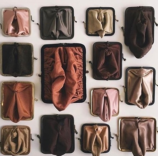 12. Не существует «нормально выглядящей» вагины 😅