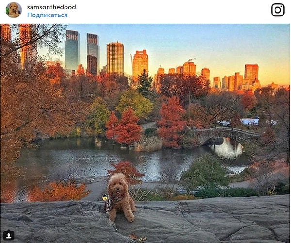 3. Центральный парк, Нью-Йорк, США