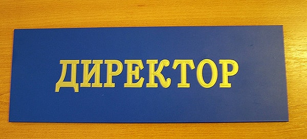 5. Можно ли назвать сына Директором?