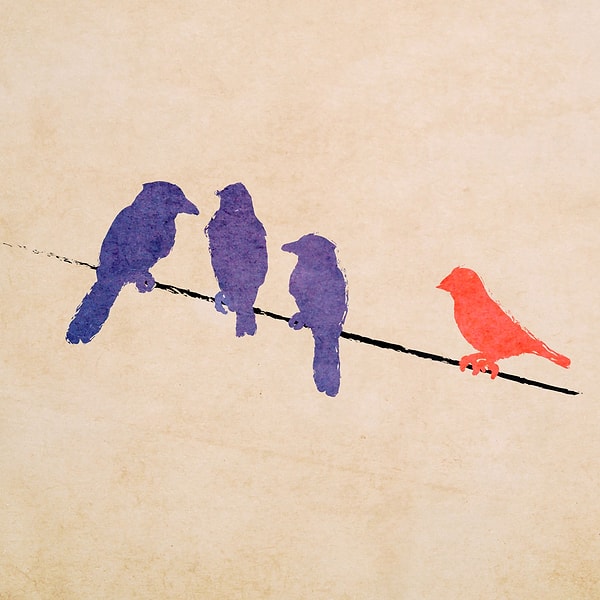 Вы аутсайдер!