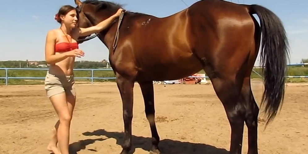 Kadının Yoğun Çabalarına Rağmen Sırtına Binemeyeceğini Anlayan Atın Duruma Tepkisi