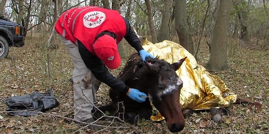 'Yaratılmış Her Canlı Bizim İçin Değerlidir!'