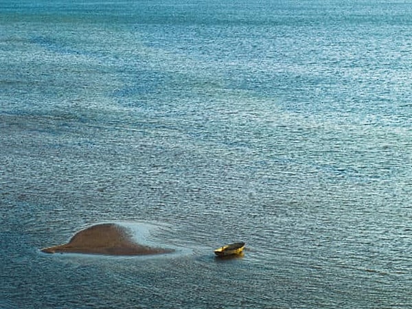 4. Какое чувство пробуждает в вас этот снимок?