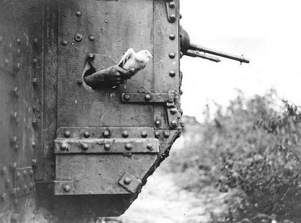 8. Член экипажа британского танка Mark I выпускает почтового голубя через бойницу (1918 год)